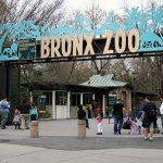Bronx Zoo a New York