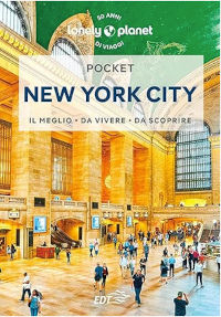 guida su new york edizione pocket by lonely planet