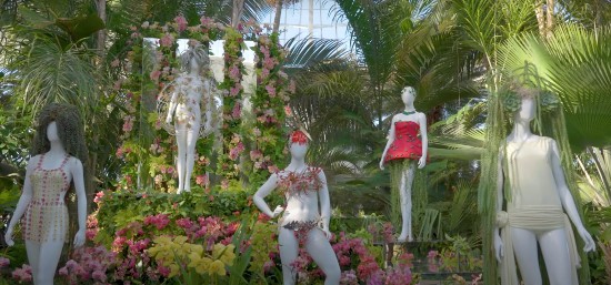 Orchid Show, installazione